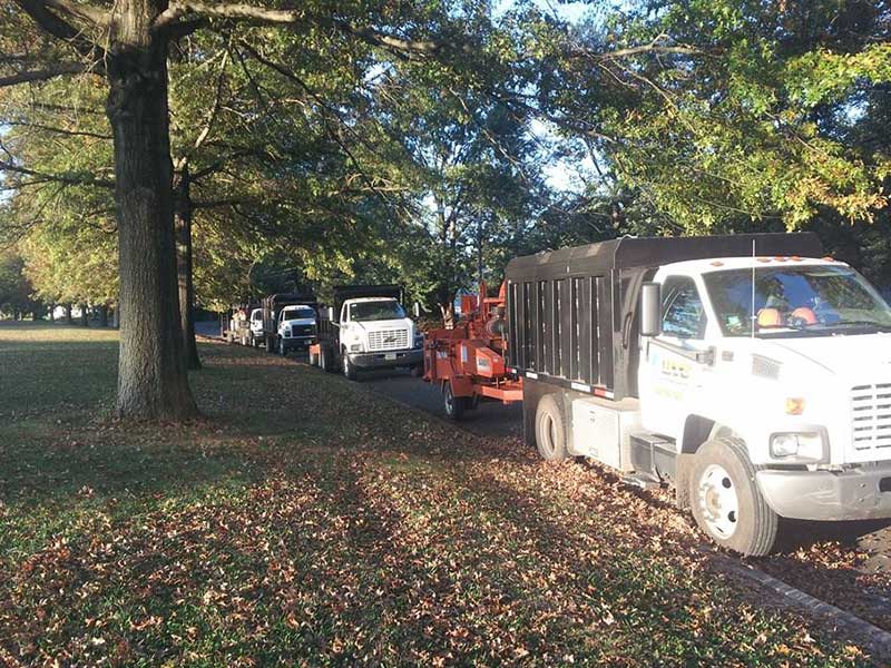 HTS Tree Care, Princeton, Hopewell, Hamilton NJ