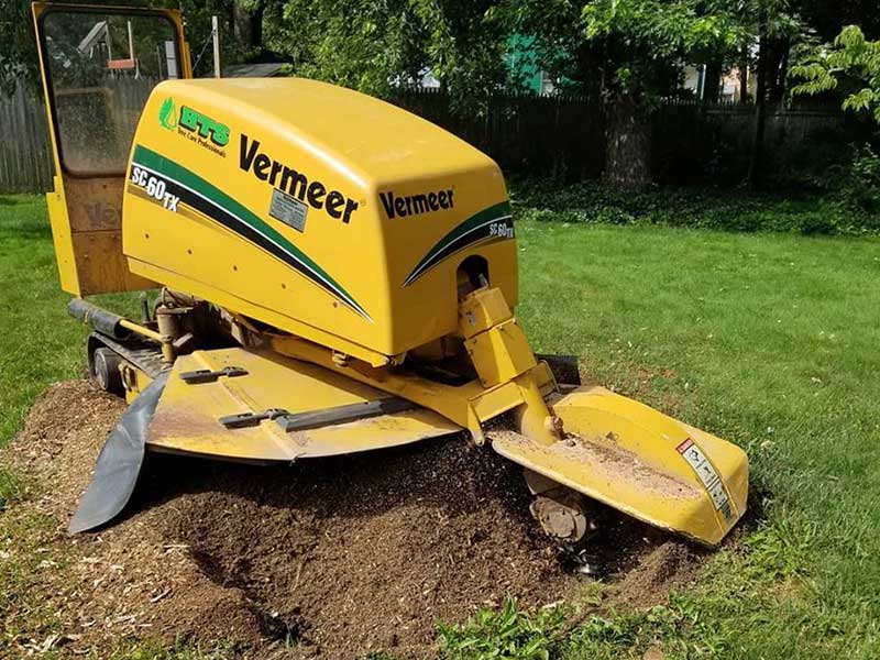 Stump Grinding